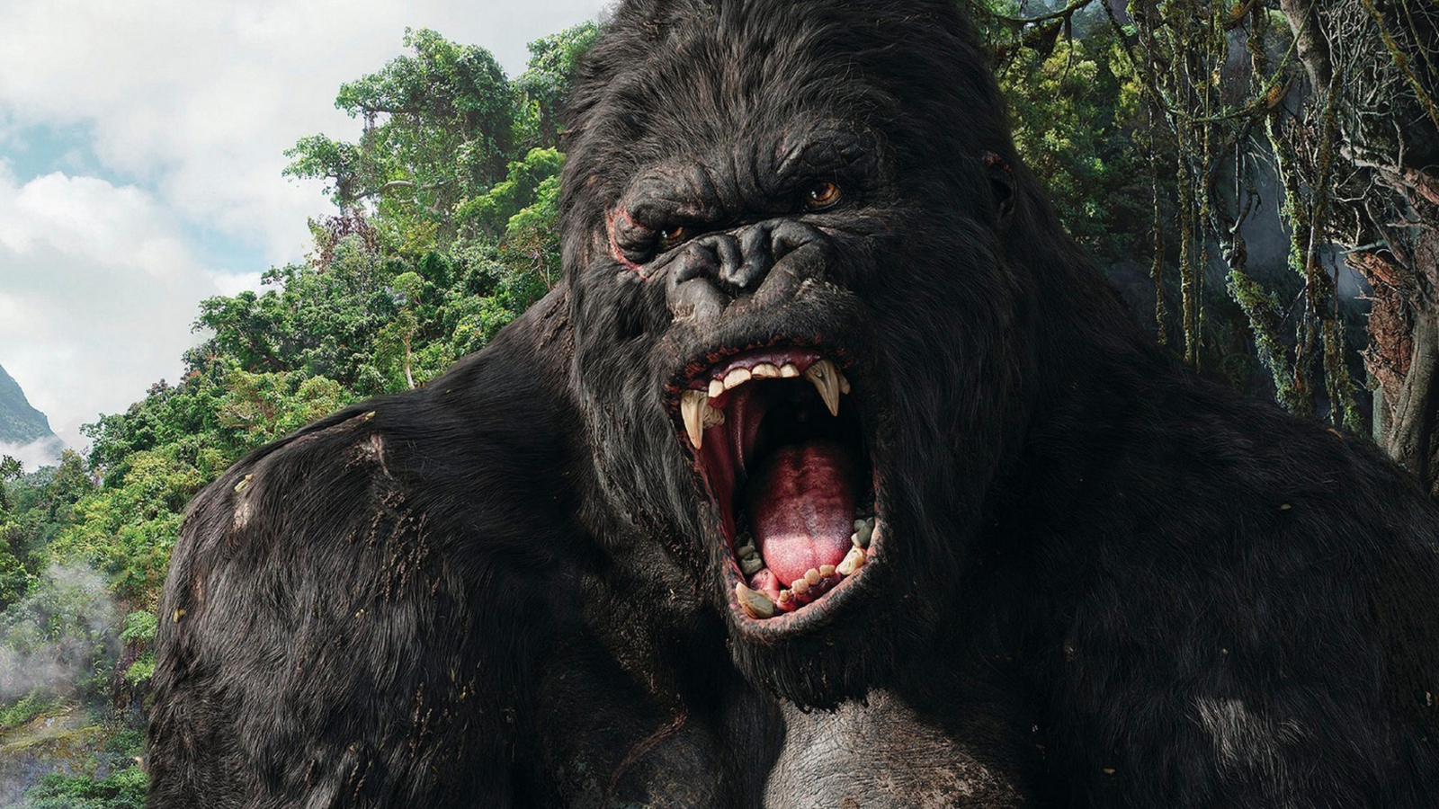 Sfondi King Kong 1600x900