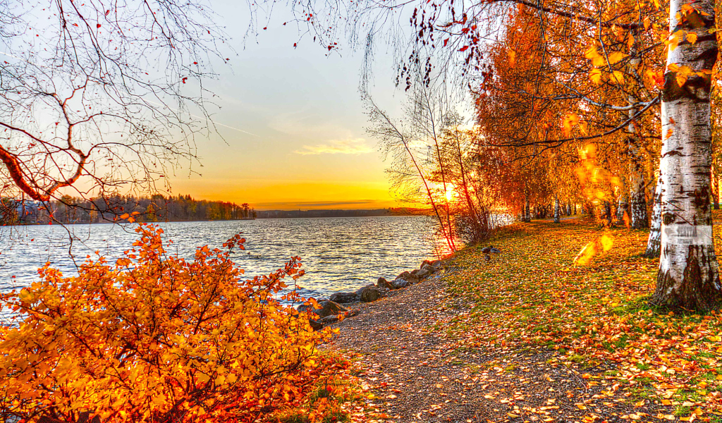 Autumn Trees By River screenshot #1 1024x600