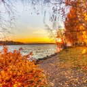 Fondo de pantalla Autumn Trees By River 128x128