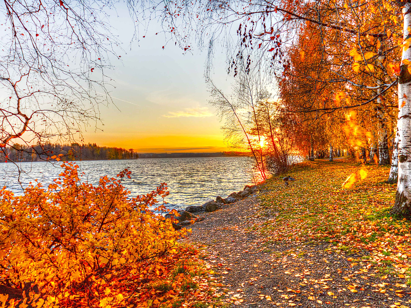 Autumn Trees By River wallpaper 1400x1050