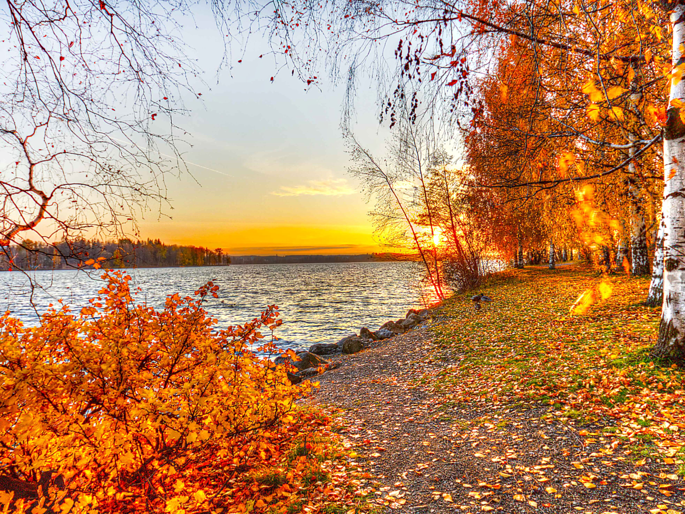 Fondo de pantalla Autumn Trees By River 1400x1050