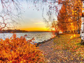 Fondo de pantalla Autumn Trees By River 320x240