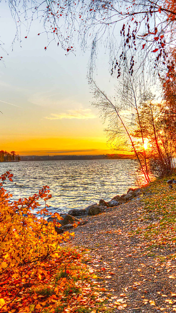 Autumn Trees By River wallpaper 360x640