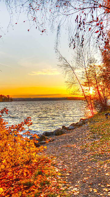 Sfondi Autumn Trees By River 360x640