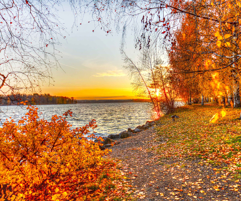 Autumn Trees By River screenshot #1 480x400