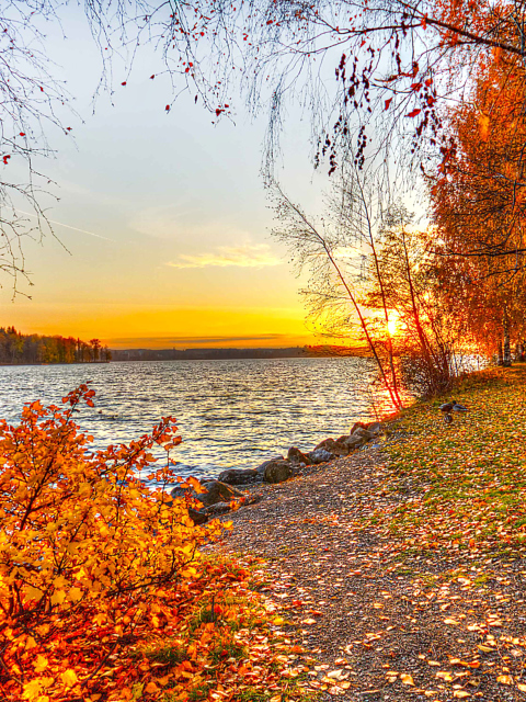 Autumn Trees By River wallpaper 480x640