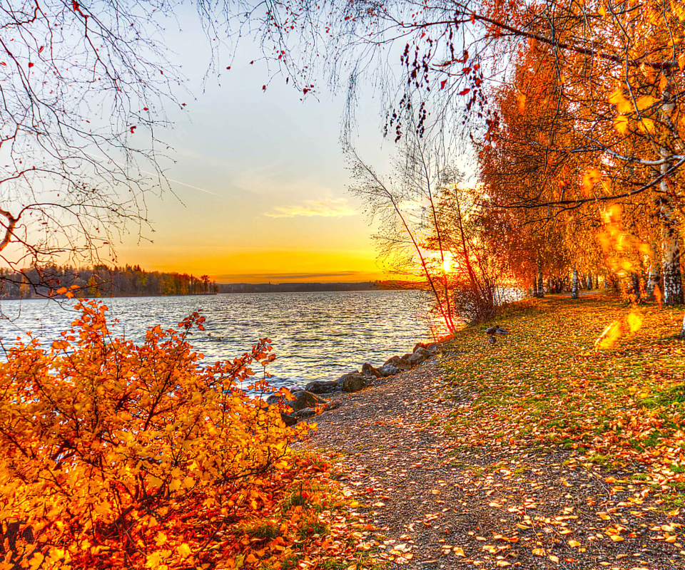 Autumn Trees By River wallpaper 960x800