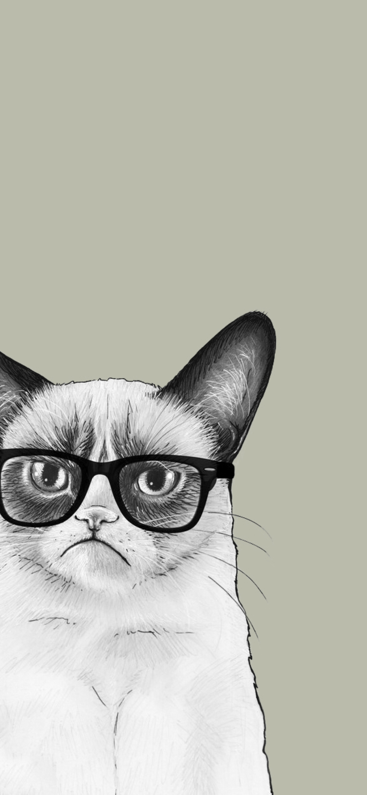 grumpy cat iphone wallpaper