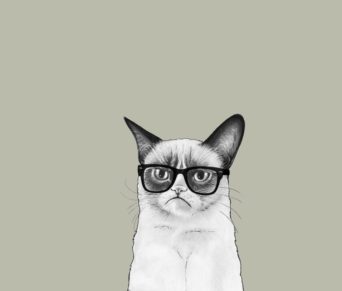 Grumpy Cat wallpaper 1200x1024