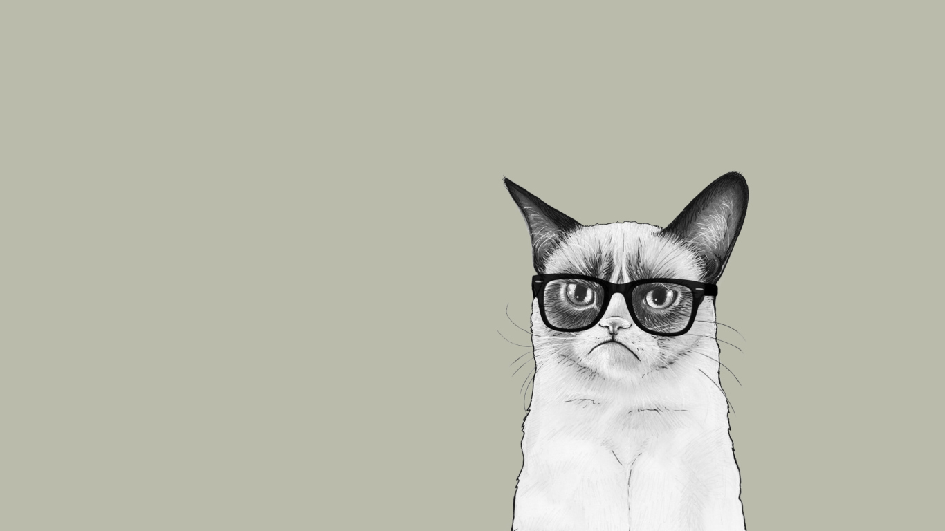 Fondo de pantalla Grumpy Cat 1366x768