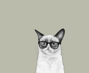 Das Grumpy Cat Wallpaper 176x144