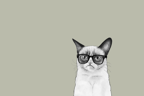 Das Grumpy Cat Wallpaper 480x320