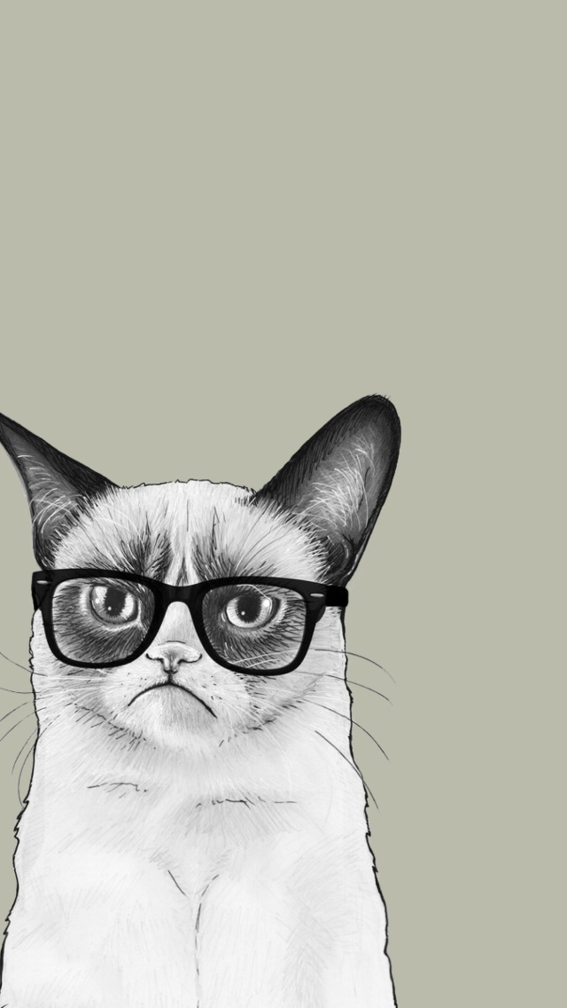 Das Grumpy Cat Wallpaper 640x1136