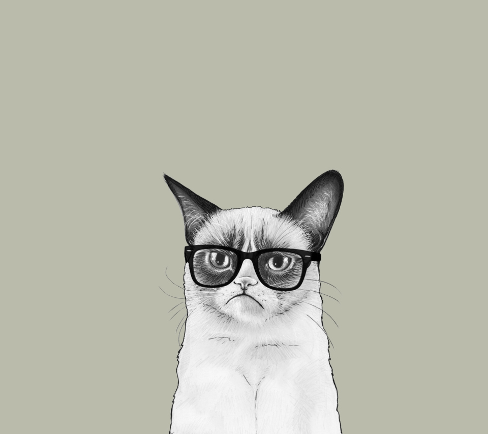 Grumpy Cat wallpaper 960x854