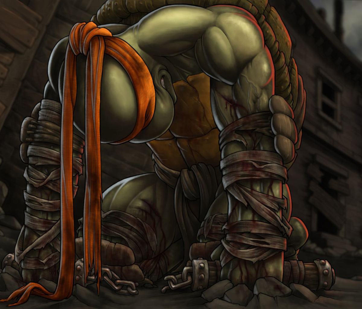 TMBT, Michelangelo Teenage Mutant Ninja Turtles wallpaper 1200x1024