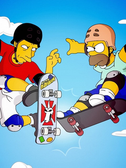 Homer Simpson and Tony Hawk screenshot #1 480x640