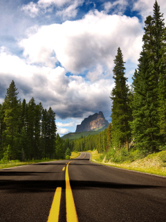 Road Photo screenshot #1 240x320