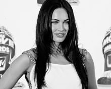 Das Megan Fox MTV Movie Awards Wallpaper 220x176