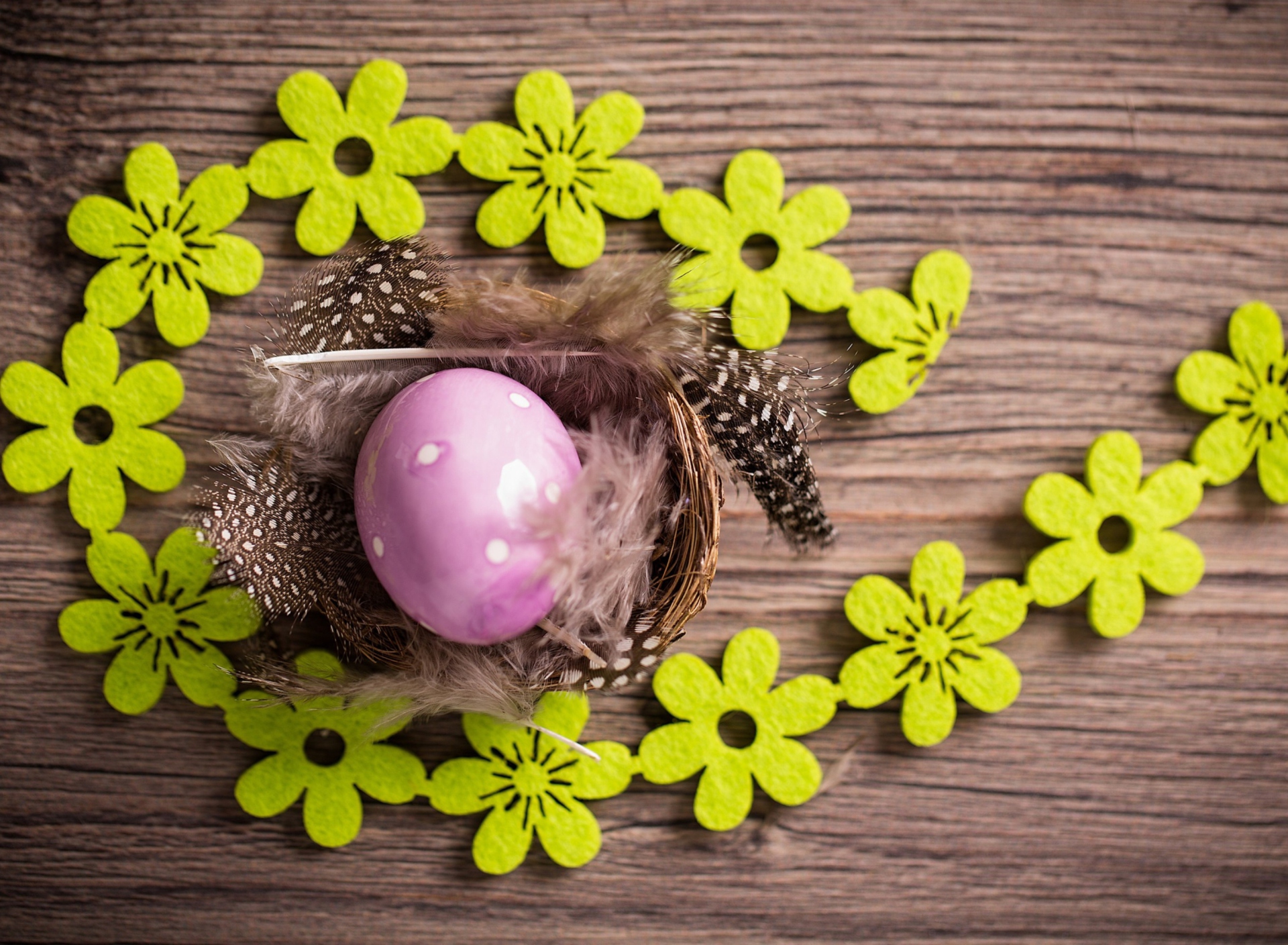 Purple Egg, Feathers And Green Flowers wallpaper 1920x1408