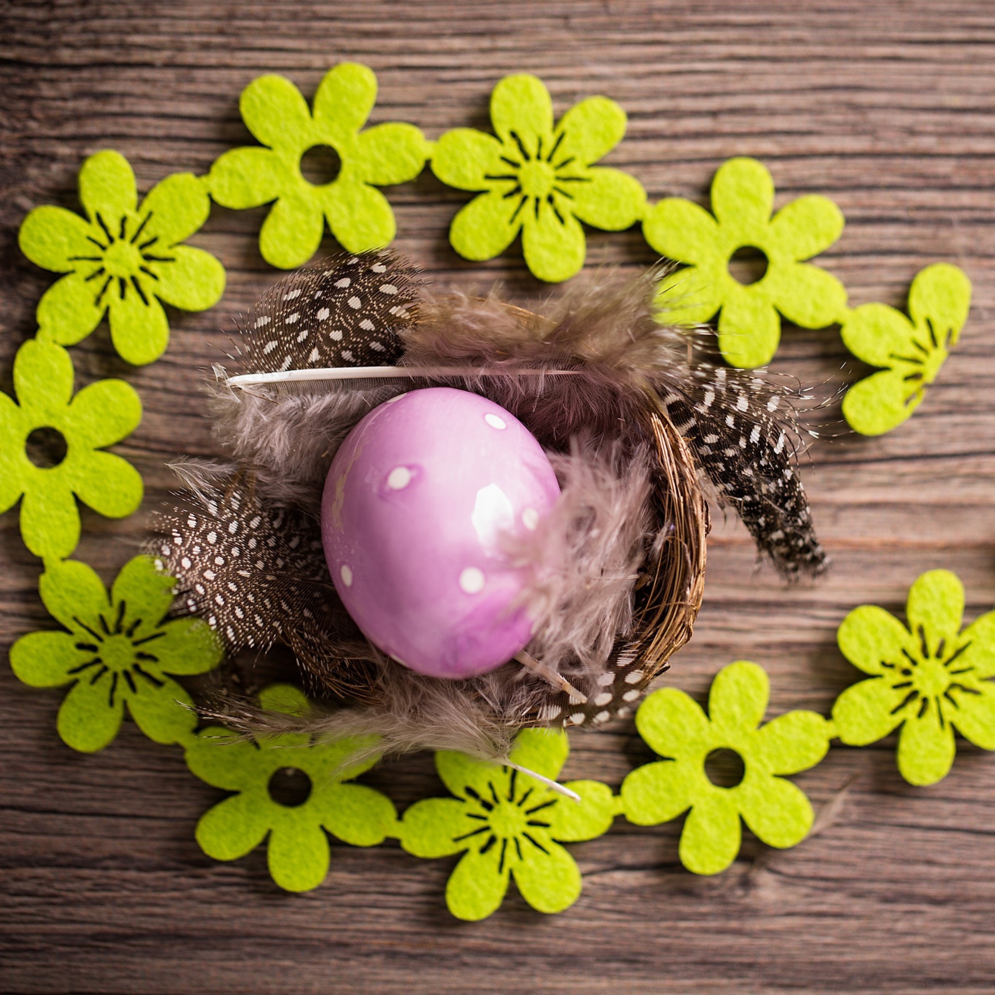 Обои Purple Egg, Feathers And Green Flowers 2048x2048