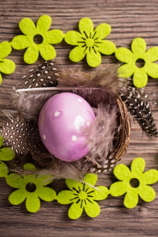 Обои Purple Egg, Feathers And Green Flowers 320x480