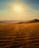 Das Desert Sun Wallpaper 128x160