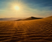 Das Desert Sun Wallpaper 176x144