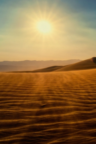 Fondo de pantalla Desert Sun 320x480