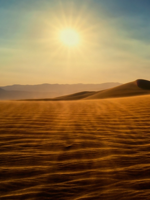 Das Desert Sun Wallpaper 480x640