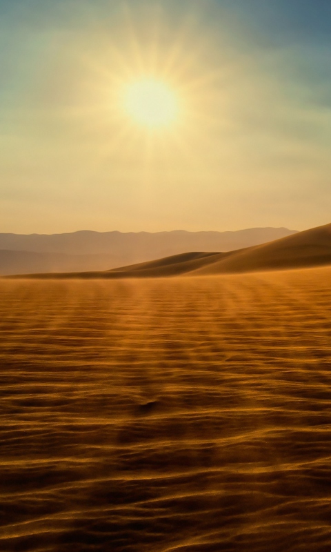 Das Desert Sun Wallpaper 480x800