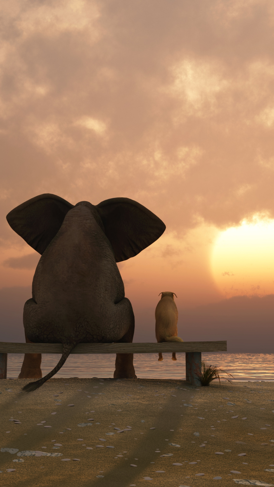 Elephant And Dog Looking At Sunset wallpaper 1080x1920