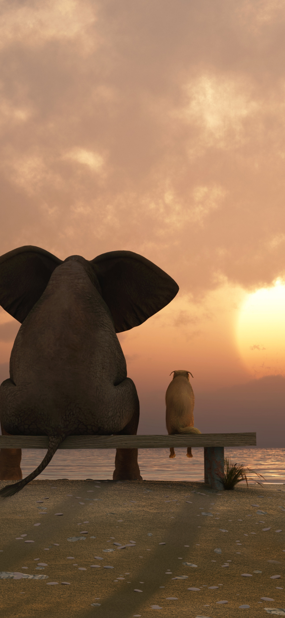 Elephant And Dog Looking At Sunset wallpaper 1170x2532
