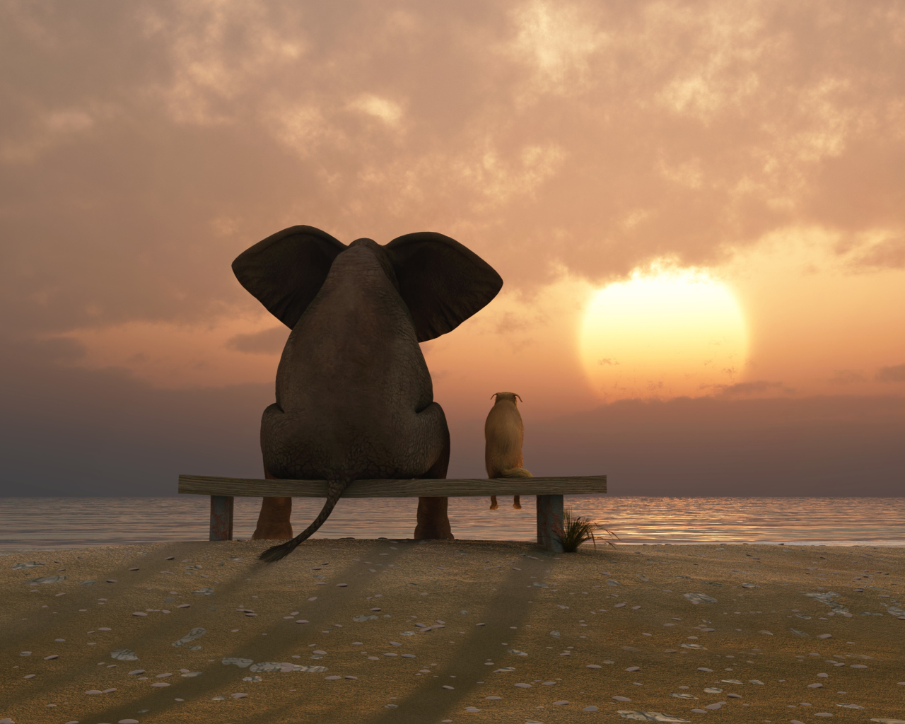 Fondo de pantalla Elephant And Dog Looking At Sunset 1280x1024