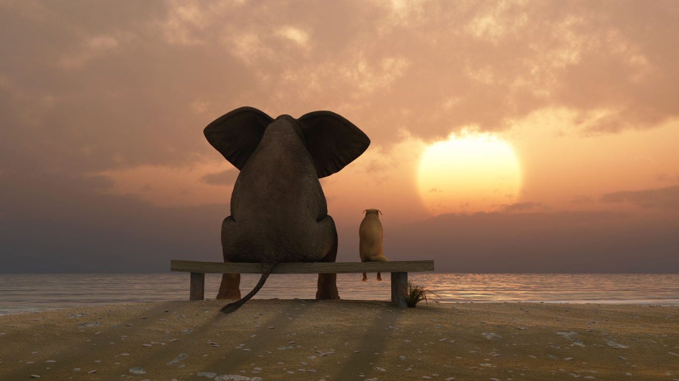 Das Elephant And Dog Looking At Sunset Wallpaper 1366x768