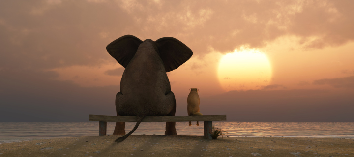 Fondo de pantalla Elephant And Dog Looking At Sunset 720x320