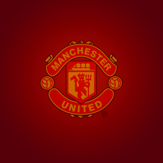 Manchester United - Obrázkek zdarma pro iPad mini 2