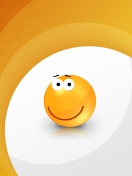 Обои Orange Smile 132x176