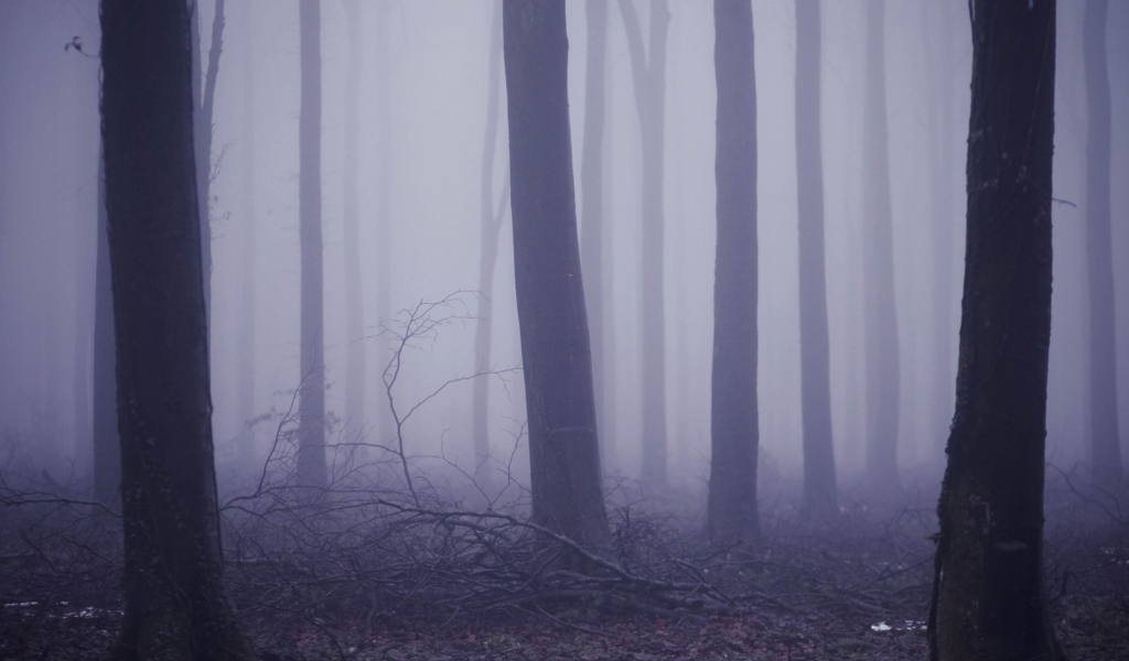 Violet Fog In Forest screenshot #1 1024x600