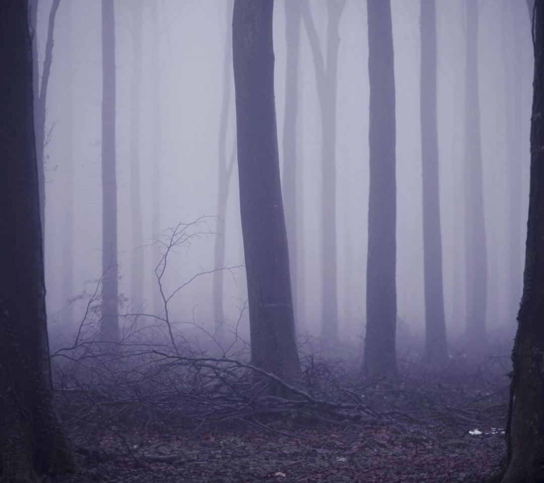 Fondo de pantalla Violet Fog In Forest 1080x960