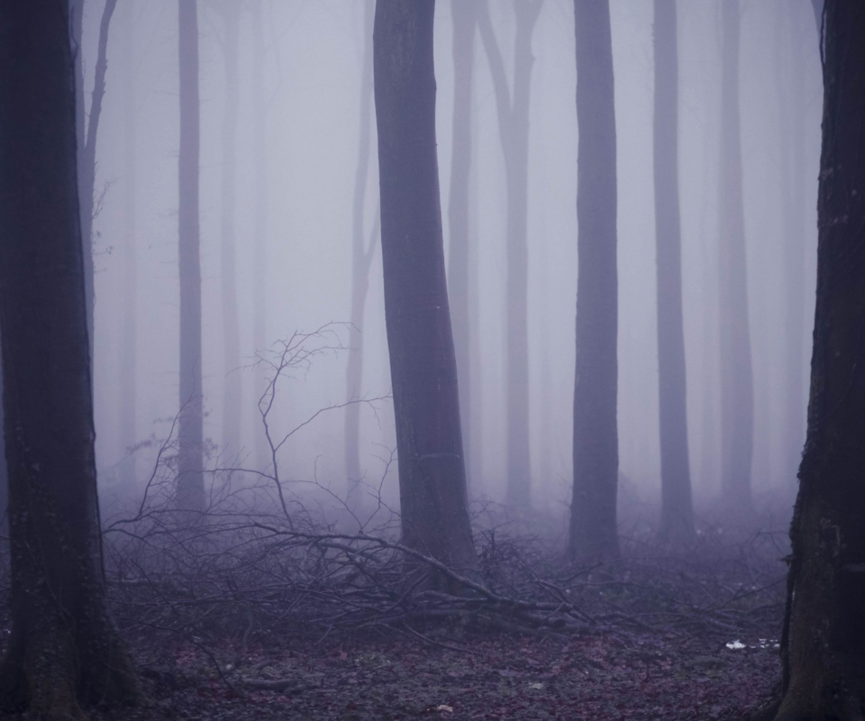 Screenshot №1 pro téma Violet Fog In Forest 960x800