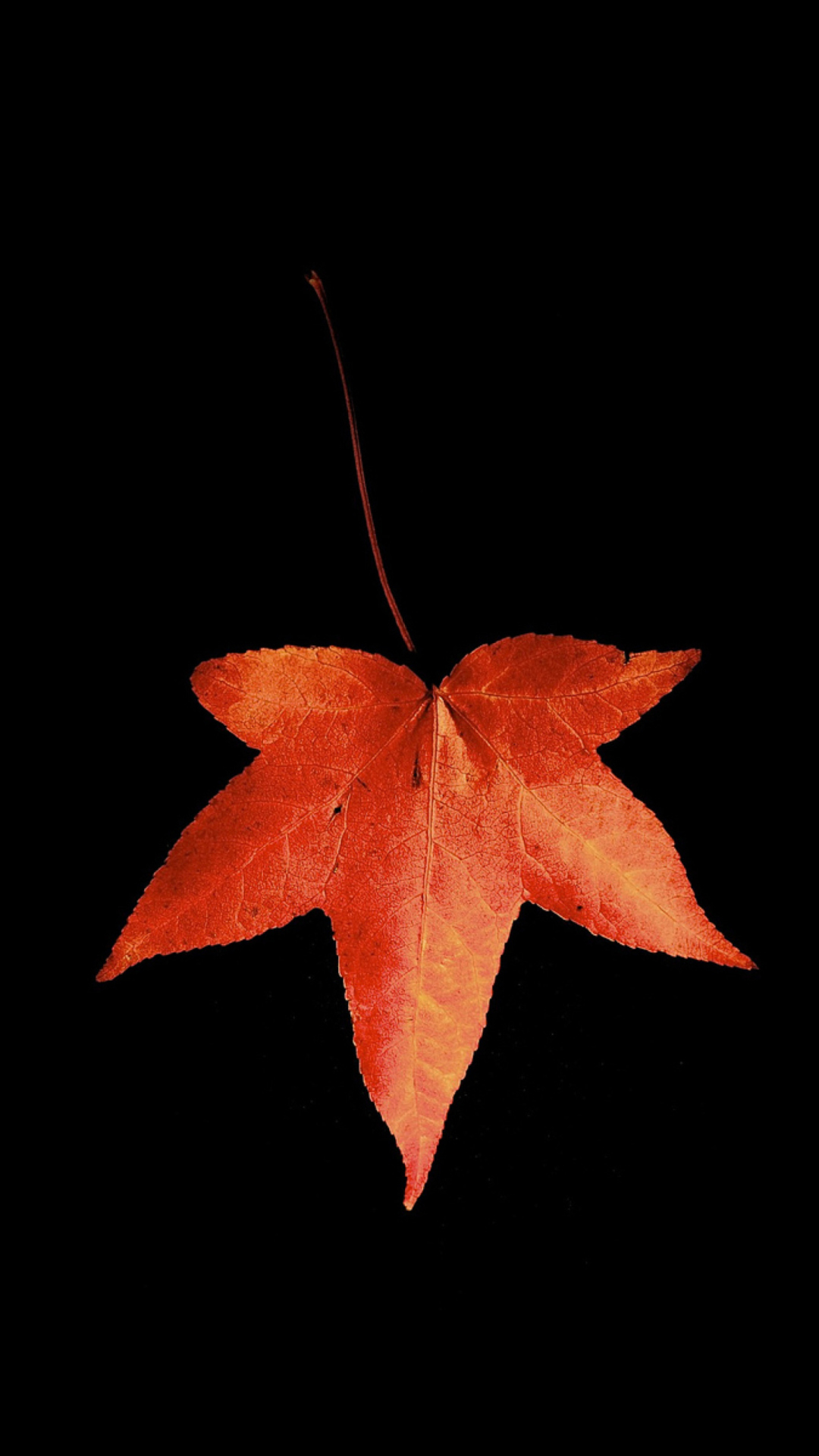 Sfondi Red Autumn Leaf 1080x1920