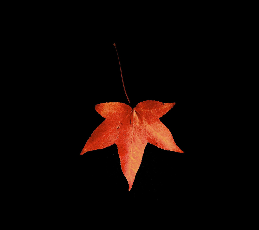 Das Red Autumn Leaf Wallpaper 1080x960