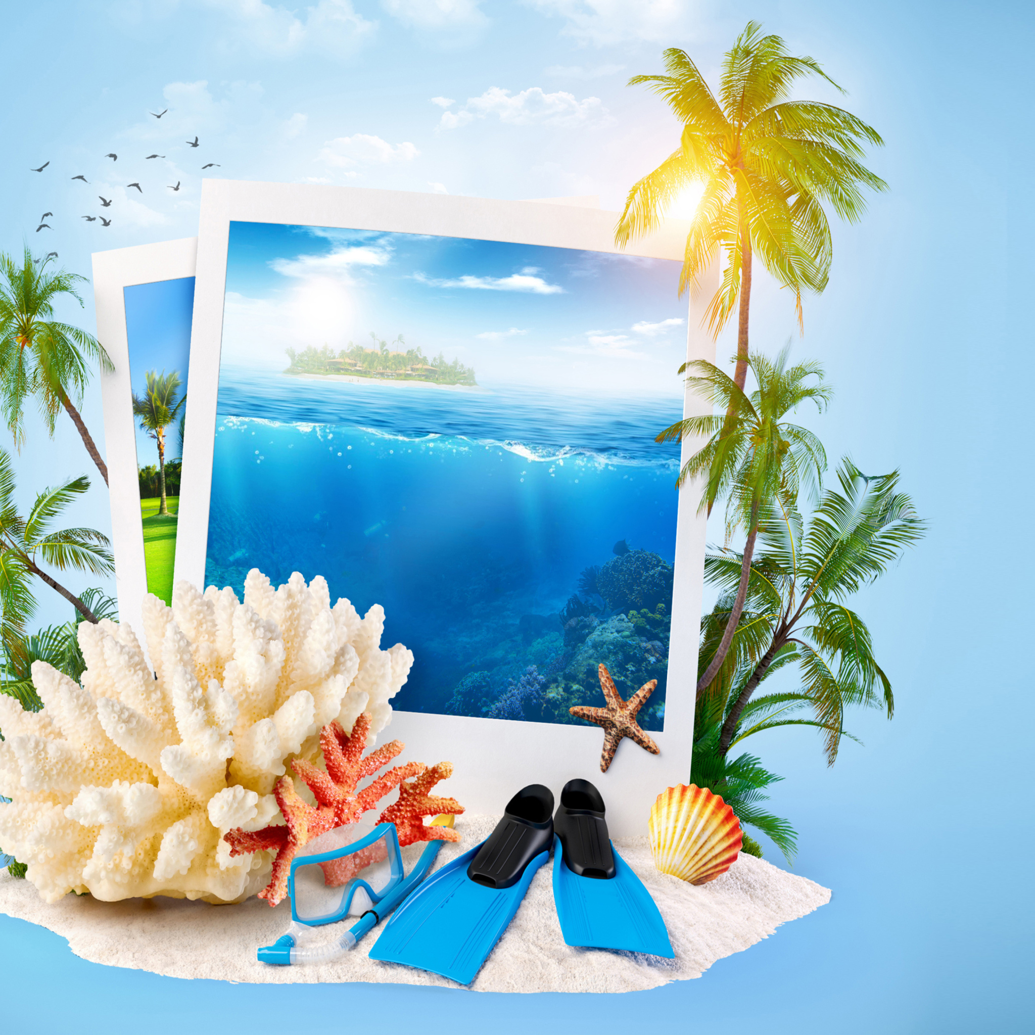 Summer Time Photo wallpaper 2048x2048