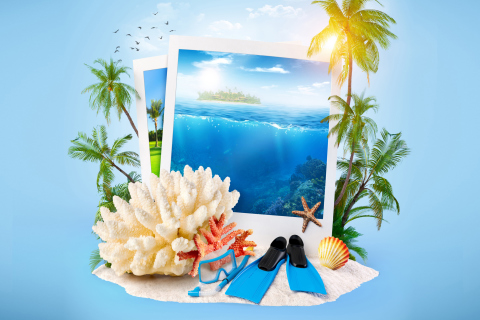 Summer Time Photo wallpaper 480x320