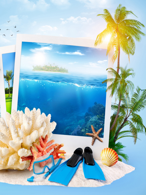 Summer Time Photo wallpaper 480x640