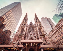 Обои St Patricks Cathedral In New York 220x176