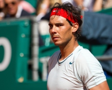 Sfondi Rafael Nadal - Roland Garros 220x176