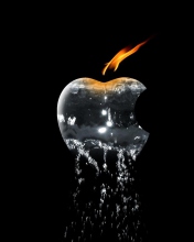 Sfondi Apple Ice And Fire 176x220