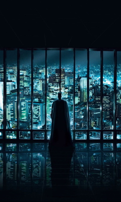Fondo de pantalla Batman Observing 240x400