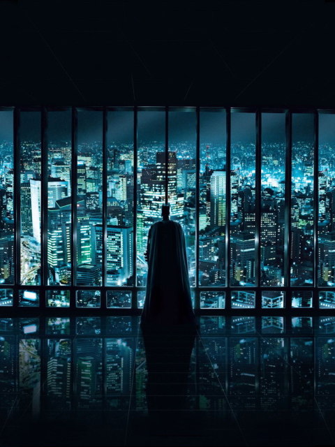 Das Batman Observing Wallpaper 480x640